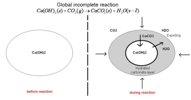 Figure  9.  Schematic  representation  of  the  gas-solid  carbonation  of  Ca  hydroxide,  showing  the 776 