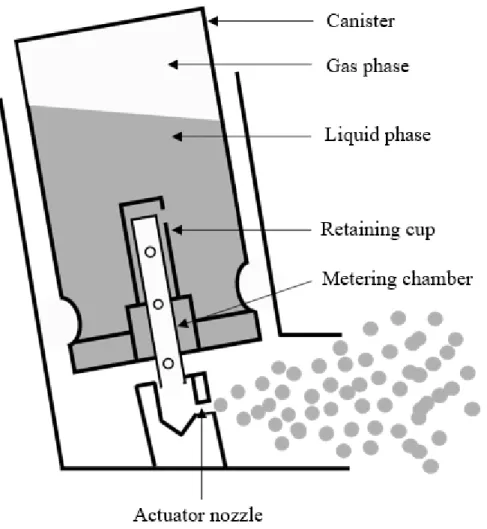 Figure 7. Schematic diagram of pressurized Metered-Dose Inhalers MDI 