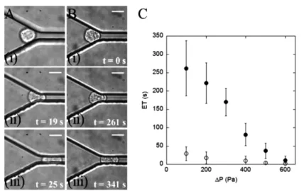 Figure 1  Anti-adherent constriction channels for cell stiffness measurement. (A–B) Image  sequences of a leucocyte THP-1 cell during entry into a 4  ×  15 µm 2 -wide constriction   at a local pressure  ∆ P = 100 Pa before (A) and after (B) incubation in a
