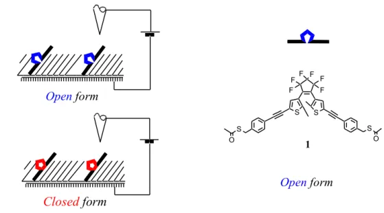 Figure 3 : Schematic view of the proposed STM experiments