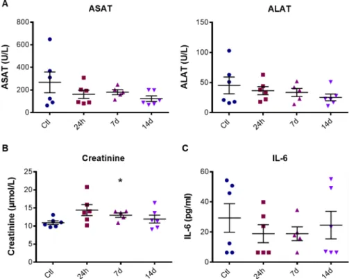 Figure 7.  ALAT and ASAT values (A), creatinine level (B) and IL-6 concentration (C) in mouse plasma 24 h,  7 or 14 days after AuNPd injection (1 mg/kg) or 14 days after vehicle injection for the control group
