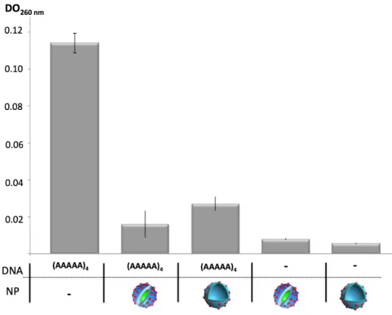 Figure 5. DNA binding experiments involving oligoA DNA sequences (DNA) and nanoparticles  (NP) (DO measured at 260 nm and after ultrafiltration)