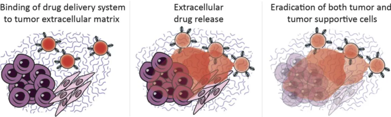 Figure 8:  Overview  of  tumour  extracellular  matrix  targeting  by  drug  delivery  systems