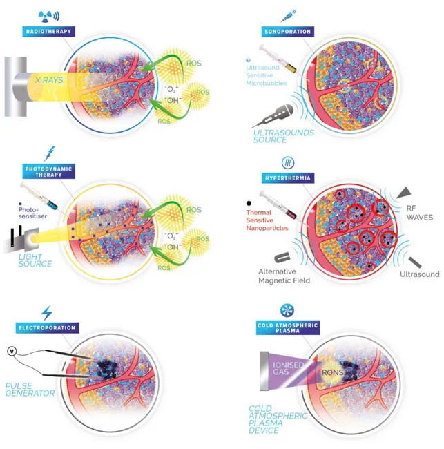 Figure  2:  Remodelling  the  tumour  microenvironment  through  physical  pretreatments  as  emerging 2 