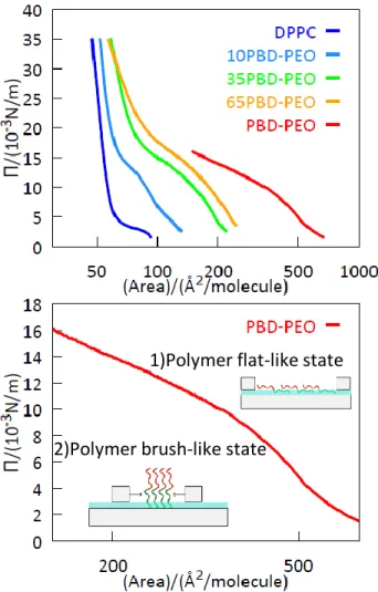 Figure 4. Π-A isotherms of 0, 10%, 35%, 65%, 100% (top) PBD-b-PEO:DPPC monolayers in MilliQ water subphase and extended  100% PBD-b-PEO:DPPC isotherm (bottom)