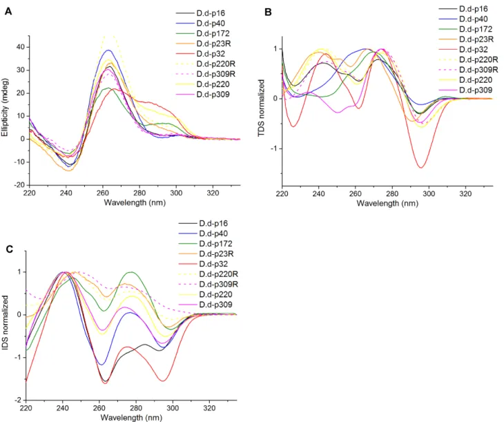 Figure 2. Characterization of p16, p32, p40, p172, p23R, p220, p309, p220R and p309R by different biophysical methods