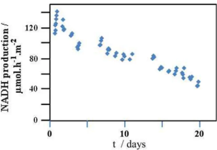 Fig. 8 Experimental production of NADH based on reaction Scheme 2. [NAD ? ] 0 = 5 mol m -3 ; Q vanolyte = Q vcatholyte = 0.06 cm 3 min -1 