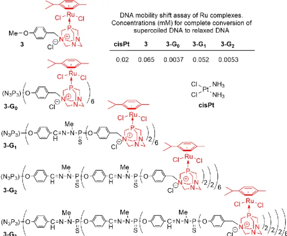 Figure 4. Dendrimers 3-Gn functionalized by PTA-Ru complexes and their efficiency to convert the  supercoiled form of DNA to the relaxed form, compared to cisplatin