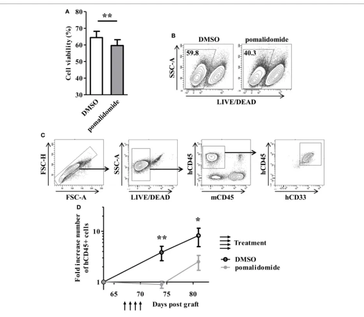 FigUre 1 | In vitro and in vivo exposure of acute myeloid leukemia (AML) blasts to pomalidomide induce tumor cell death and control leukemia growth