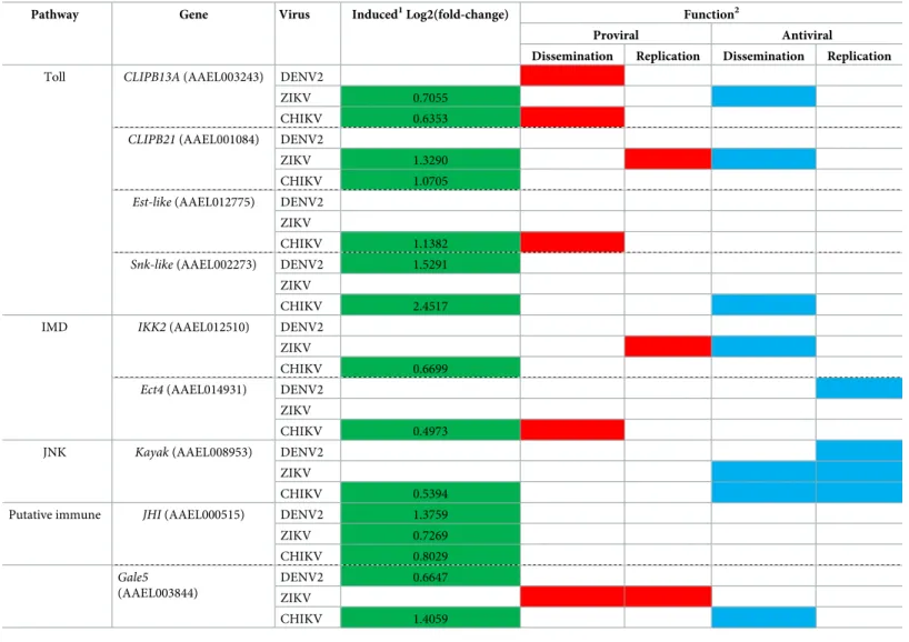 Table 1). These results reveal a broad antiviral function of the JNK pathway in SGs. To
