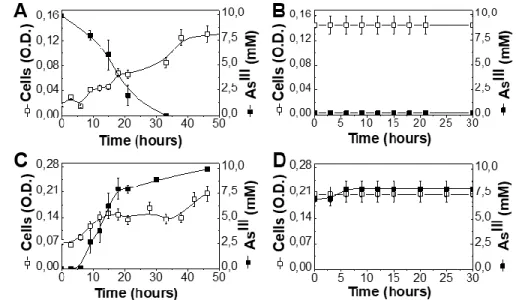 Figure 4: Conversion of As III  or As V  by A. ehrlichii and D. hafniense. A. ehrlichii was grown at  pH 9.3 under As III  10 mM (A) and subsequently resuspended at pH7.3 under As V  5 mM (B)