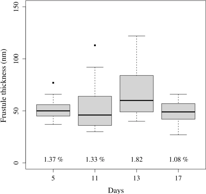 Fig 4. Boxplot of the mean frustule thickness for the 5 th , 11 th , 13 th and 17 th day of the experiment