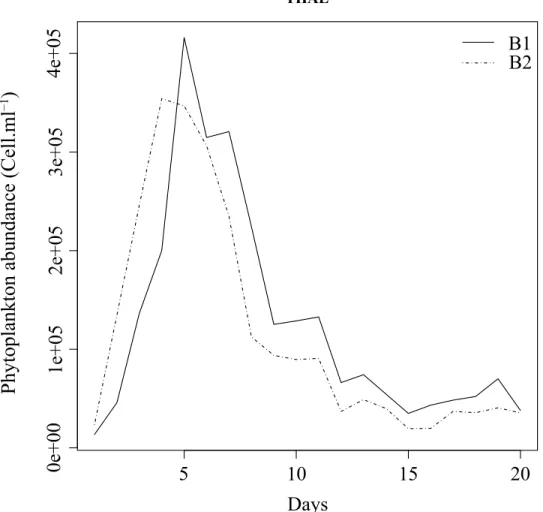 Fig 2. Abundance of phytoplanktonic cells over the time of experiment for B1 (solid line) and B2 (dashed line).