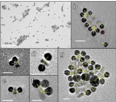 Fig. 6 TEM images of (a) large self-assemblies of QD-A3 and AuNP-α2 and (b-g) spatially  limited self-assemblies QD-A3 and AuNP-α2
