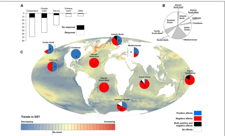 FIGURE 4 | Reported seabird responses to climate driven environmental changes. We compiled 64 studies (Supplementary Material) reporting up to 176 cases in which petrel and shearwater species responded (any kind of response, 144) or not (32) to environment