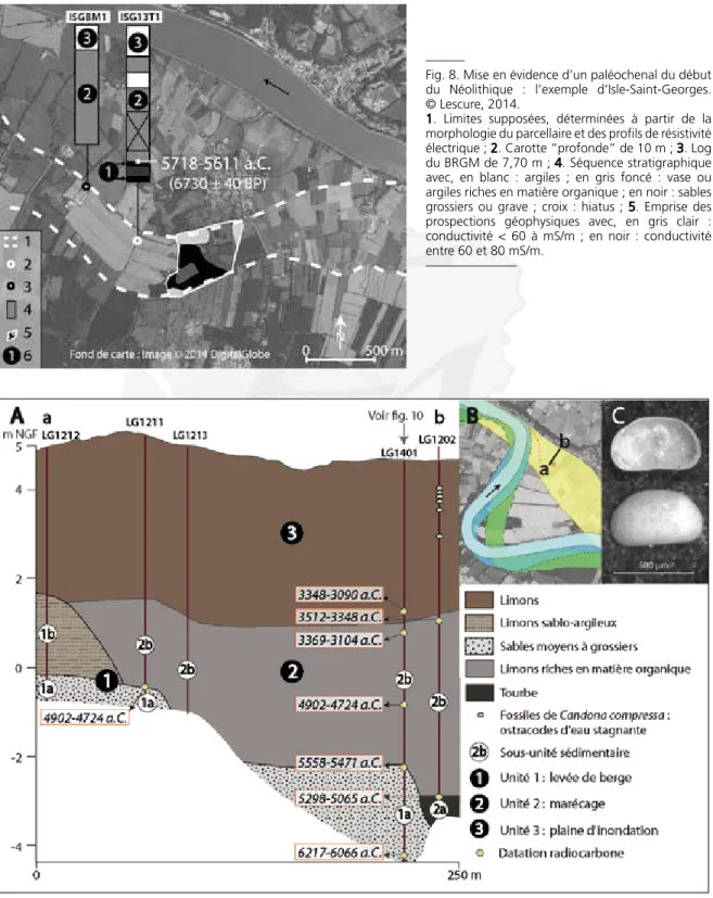 Fig. 9. Transect stratigraphique à travers le bras-mort néolithique de Langoiran. © Lescure, 2014.