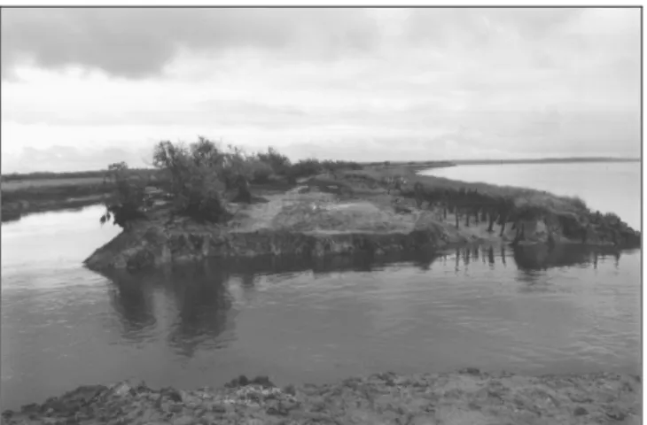 Figure 4: Accidental breach in the Graveyron-polder sea dike. From right to left in the background: