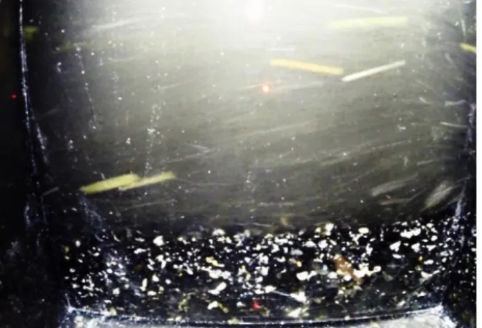 Fig. 9 Snapshot from video camera situated on a negative slope invert  at 50 m from the gate after one minute since the flush beginning 
