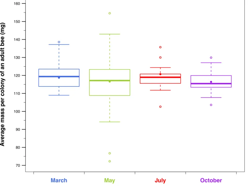 Fig. A.1. Box plot of the average mass of an adult bee per colony, for each period. Each box plot represents, from bottom to top, the minimum, the first  quartile, the median (thick line), the third quartile and the maximum