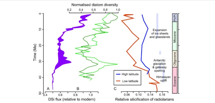 FIGURE 2 | Cenozoic records of silicifying organisms and environmental drivers. (A) An approximate range of silicic acid fluxes relative to modern fluxes,