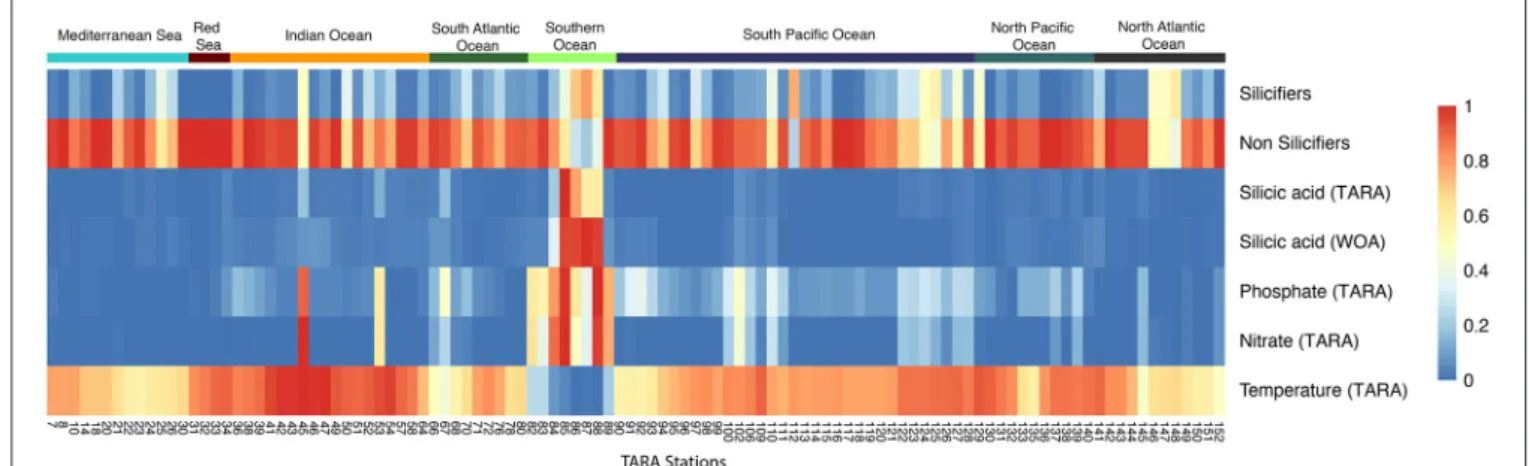 FIGURE 4 | Heatmap of the relative abundance between silicifiers and non-silicifiers and major environmental parameters across Tara Oceans stations