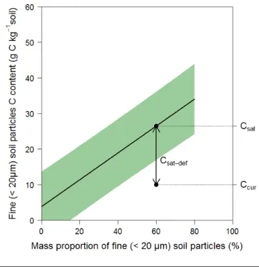 Figure 1: Maximal amount of OC contained in the soil fine (&lt;20 µm) fraction plotted against mass percentage of the fine fraction  (from Hassink 1997)