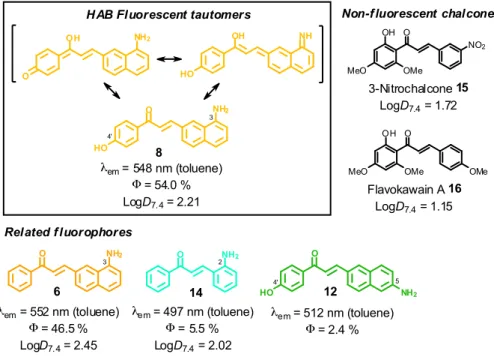 Figure  3  Structure-fluorescence  relationships  and  logD 7.4   values  at  20  °C  in  the  3-aminobenzochalcone,  5- 5-aminobenzochalcone and 2-aminochalcone series (colours indicative of fluorescence emissions)