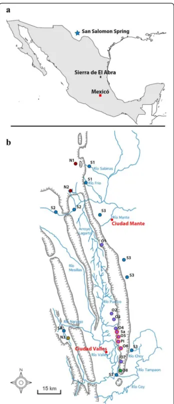 Fig. 1 Maps showing cave and surface sampling sites. a Sites in Mexico and Texas. b Sites in the Sierra de El Abra region in Mexico.