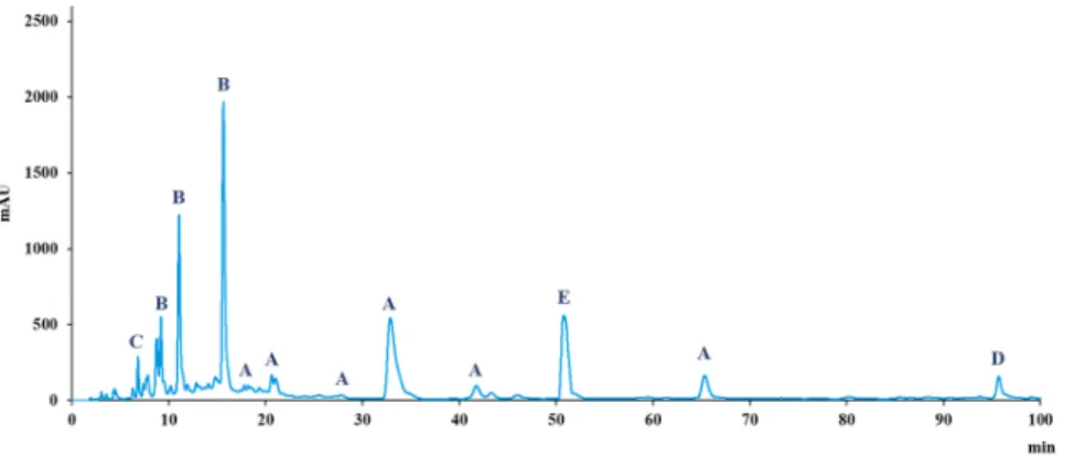 Figure 1. HPLC polyphenolic profile of the supplement at 260, 280, and 310 nm (A = bioflavonoids; B 