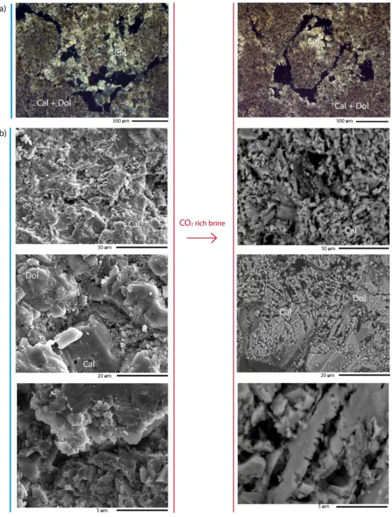 Figure 4. Changes in the pore network configuration of the limestone after SC CO 2  rich brine exposure