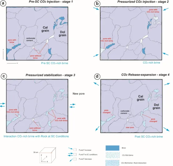 Figure 6. Simplified model developed from the observed mineralogical/textural changes after the SC  CO 2  injection in the vuggy carbonates