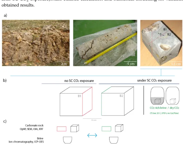 Figure 2. Process of sampling (a) and sample preparation (b) for mineralogical and geochemical  analyses before and after SC CO 2  exposure (c)