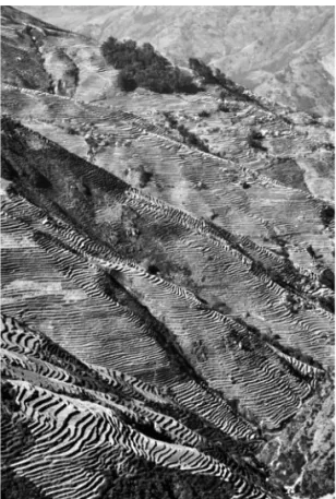 Fig. 10. — Versant entièrement façonné en terrasse de cultures, flanc nord du Shivapuri Lekh  (nord du bassin de Kathmandou)