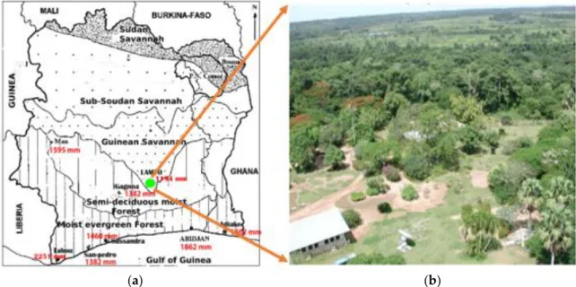 Figure  1.  (a)  Localization  map  of  the  Lamto-Côte  d’Ivoire  region  (6°31′  N–5°02′  W)