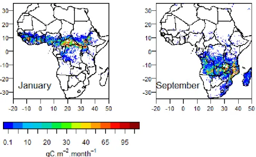 Figure 4. Carbon emissions by biomass burning for January 2015 and September 2015 obtained from  GFED4s data