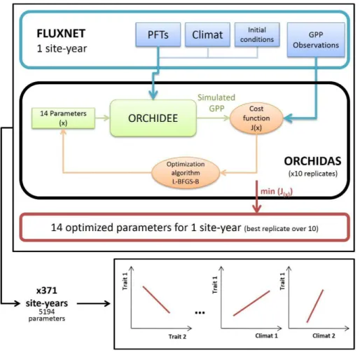 Figu re 1: Schematic representation of the modeling protocol followed in this study. For each  FLUXNET  site-year  (blue),  the  model  ORCHIDEE  (green)  was  calibrated  with  the  data  assimilation  system  ORCHIDAS  (red)  in  order  to  reproduce  GP