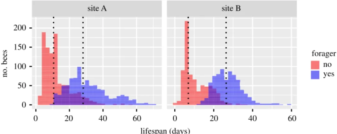Figure 4. Histograms of the lifespan of non-forager (red) and forager bees (blue) at both experimental sites (sites A and B)