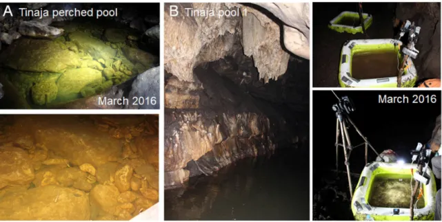 Figure 7. Experimentation in the Tinaja cave; (A) single test was “manually” performed in Tinaja  perched pool, a very small (~3–4 m 2 ) and shallow natural pool where water is retained between rocks