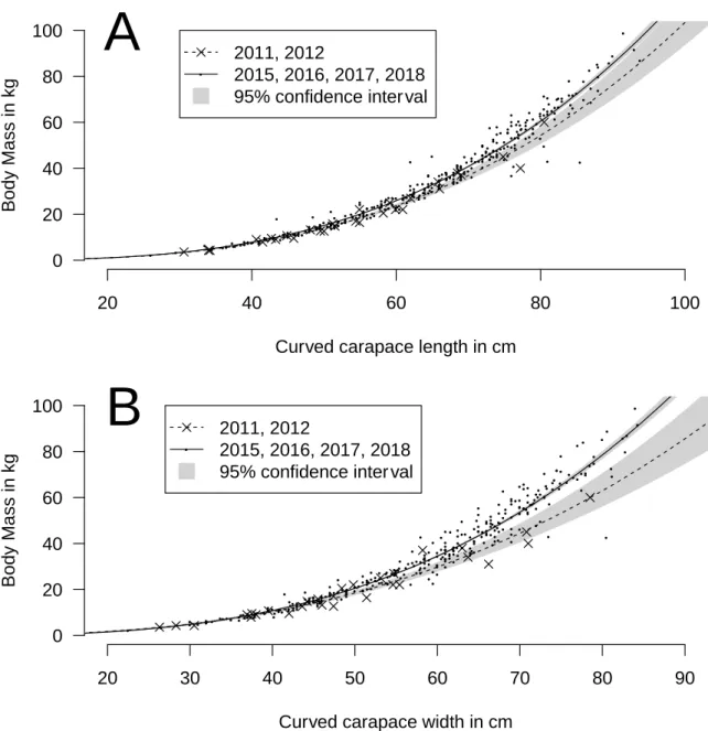 Figure 5: Relationship between body mass and (A) curved carapace length (CCL) and (B) curved  carapace width (CCW) for turtles caught in 2011 and 2012 (crosses) or from 2015 (points)
