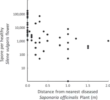 graphic range. Some samples native to North America had DNA  sequences similar to Microbotryum from the previously described  European clade of Microbotryum (Lutz et al., 2005)