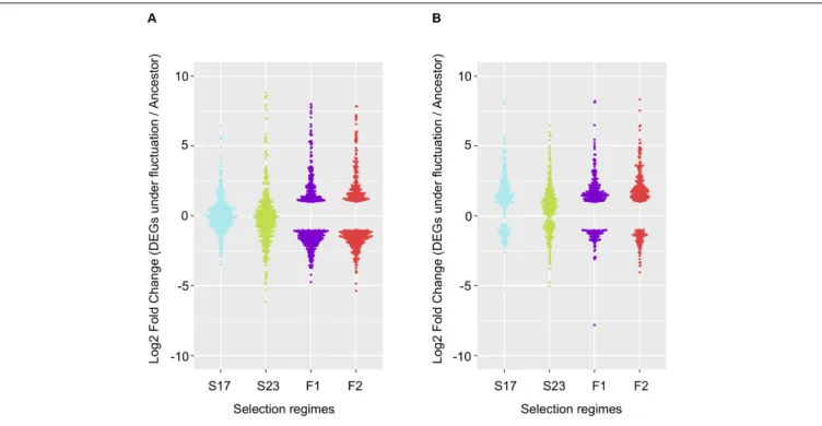 FIGURE 4 | Repeatability of evolution of gene expression under fluctuating temperature regime