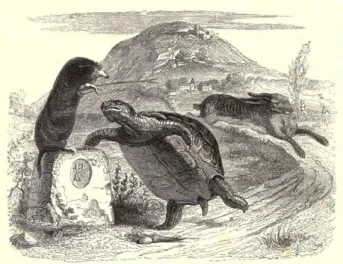 Figure 1. Does Aesop’s fable of “The Tortoise and the Hare 3,4 ”  provide a compelling analogy for modern scientific publishing? 