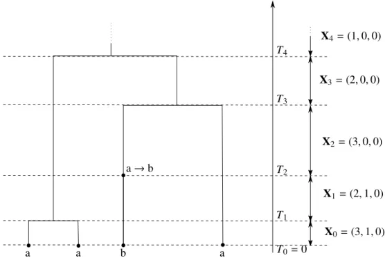Figure 1: An example of path of the process H from the MRCA leading to a sample of 4 genes at time 0, when the set of gene types E = {a, b, c} is composed of three possible alleles.