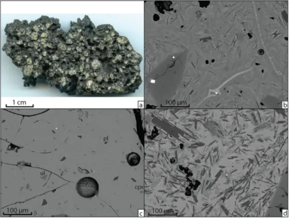 Figure 6. (a) Macroscopic sample rich in olivine macrocrysts and SEM images of the at-vent (PF07–01) and ﬂow front (PF07-15) samples: