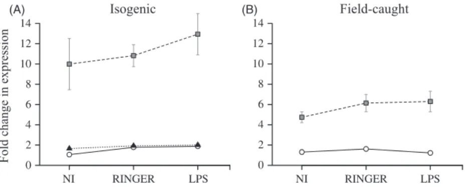 Figure 3 The effect of insecticide resistance on the esterase-2 gene expression. Gene expression was measured both at its constitutive level (Nonin- (Nonin-jected: NI) or after injection of Ringer or LPS in both isogenic line (A) and field-caught mosquitoe