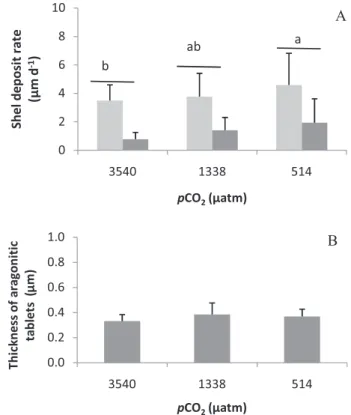 Fig. 4. Effect of the pCO 2 level on shell growth (A) shell deposit rate, (1srt experiment (grey), 2nd experiment (dark grey), (B) thickness of aragonite tablet, 2nd experiment.