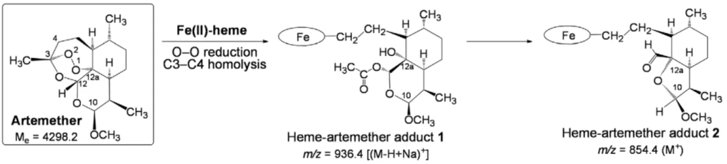 Figure 11. Mechanism of alkylation of heme by artemether (the oval stands for the protoporphyrin-IX ligand).