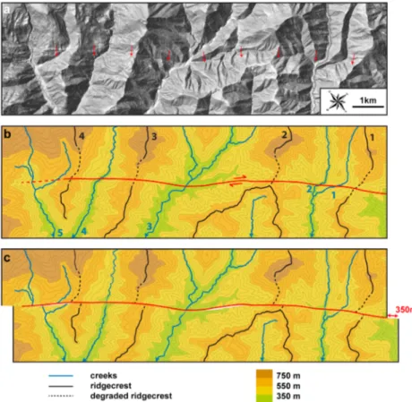 Figure 19. (a) Shaded 5 m DEM of the northwestern section of the Predjama Fault in the Veneto Prealps showing surface expressions of faulting (shown by red arrows) and the wrench-shaped courses of the creeks