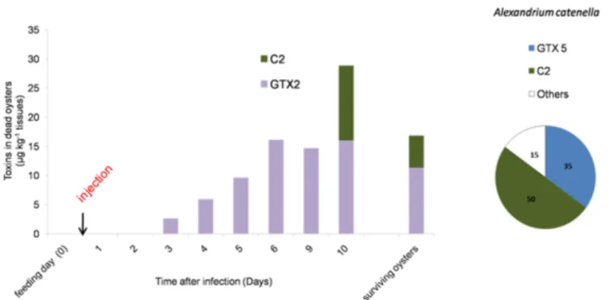 Figure 3. Evolution of the paralytic shellfish toxin content (µg¨ kg ´1 wet weight of mollusk) in dead oysters during the Vibrio tasmaniensis LGP32 infection experiment