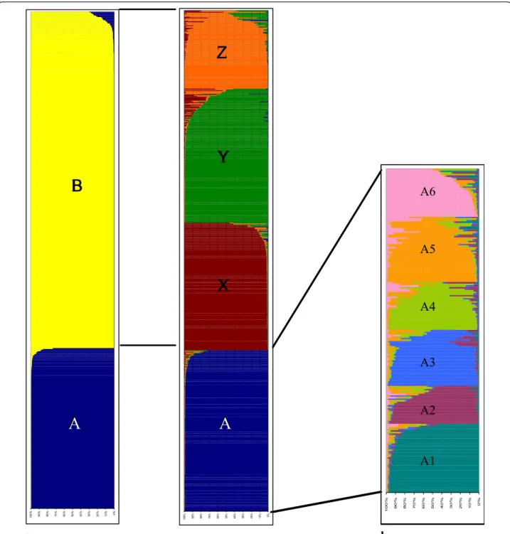 Figure 4 Results from the Structure program showing the estimated proportion of assignment of the multilocus genotypes